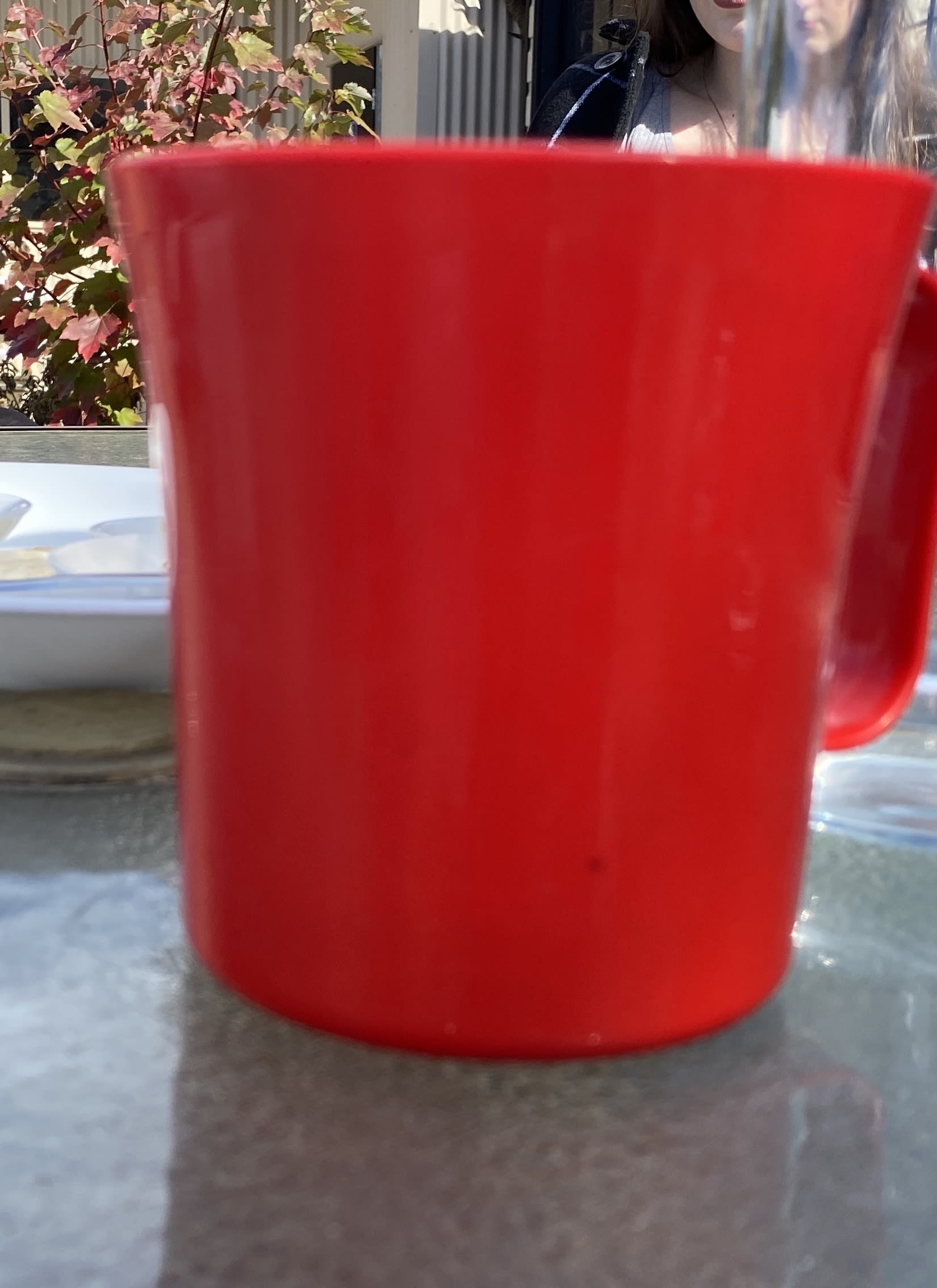 A red jug sits on a glass table. The foreground features a bush and a glass, obscuring a persons face.