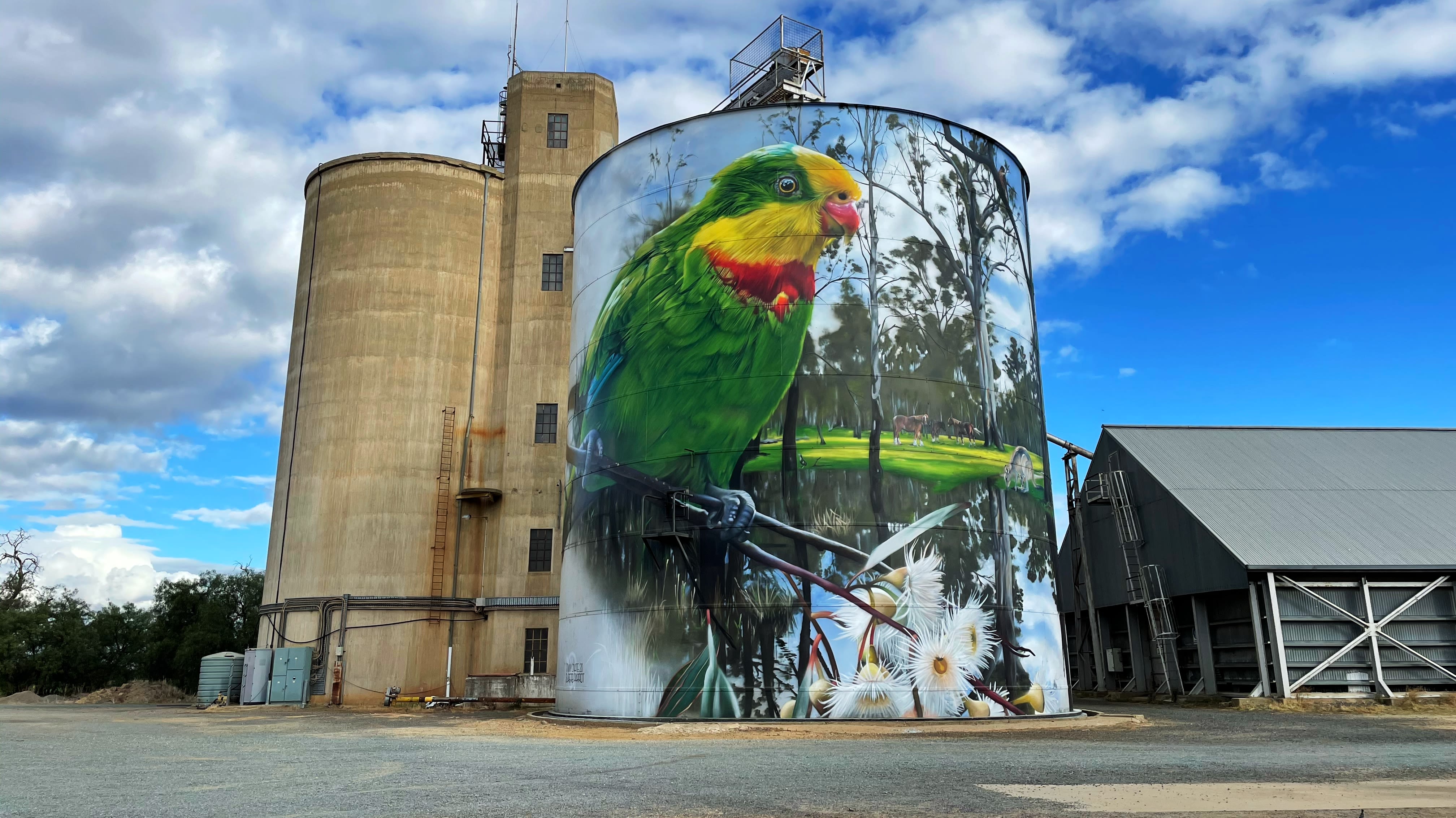 Picola Silo Art - Photo by Annette Green