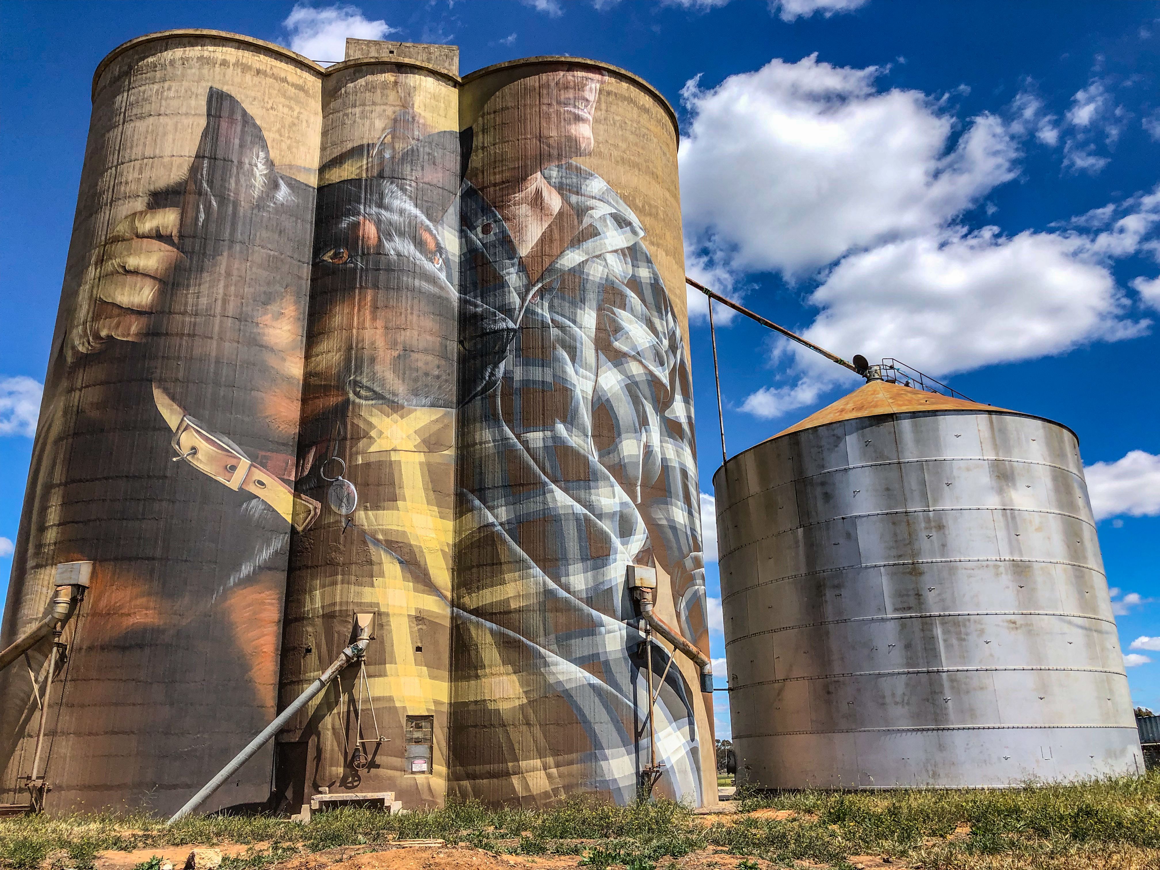 Nullawil Silo Art - Photo by Annette Green