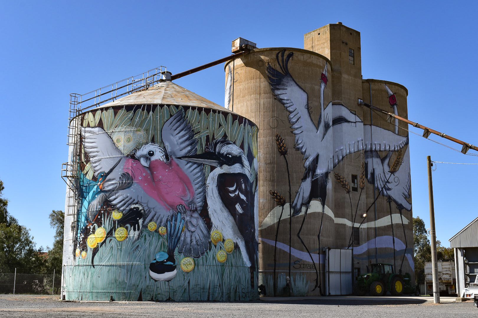 Tungamah Silo Art - Photo by Annette Green